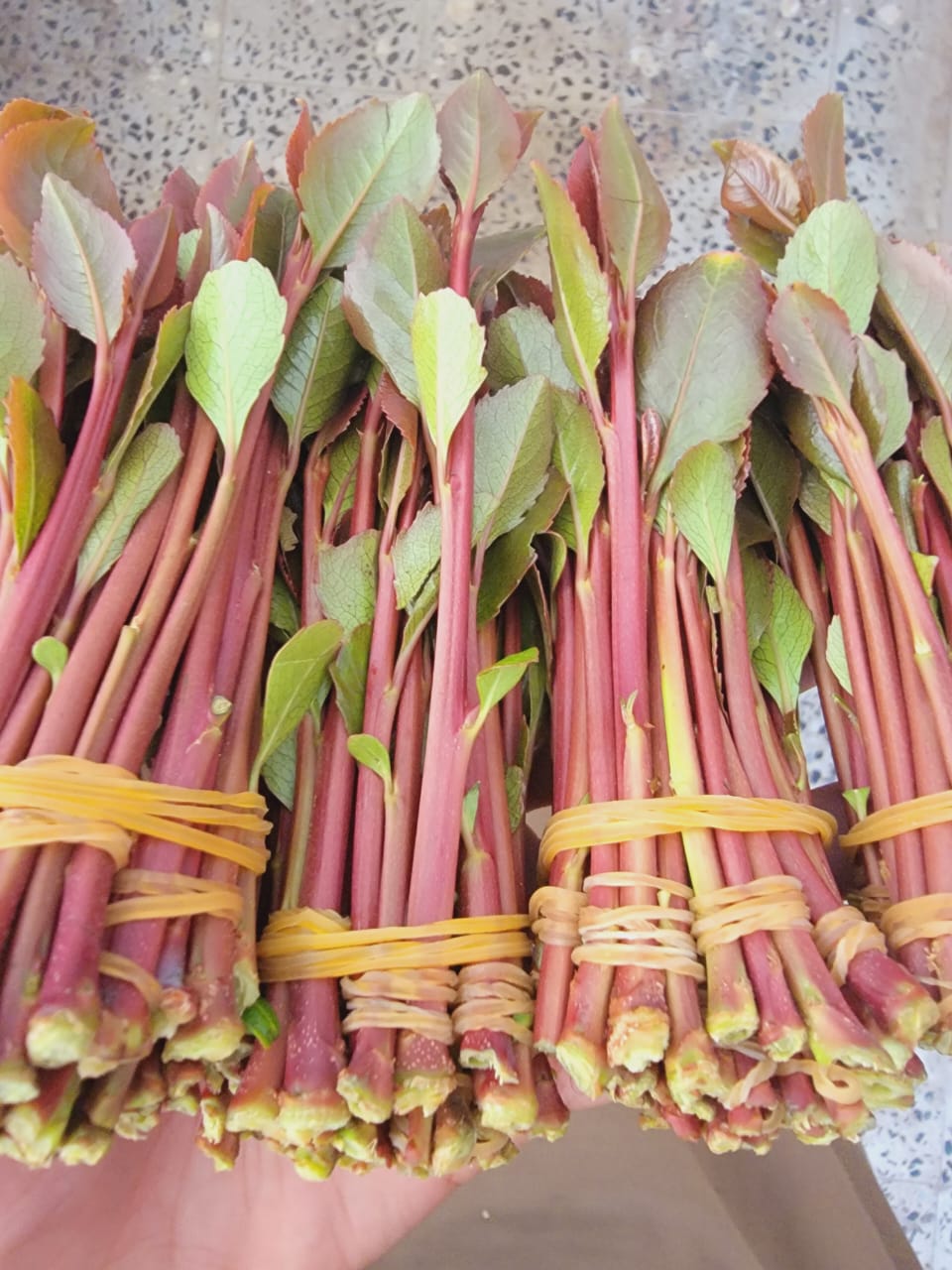 قات السراعي